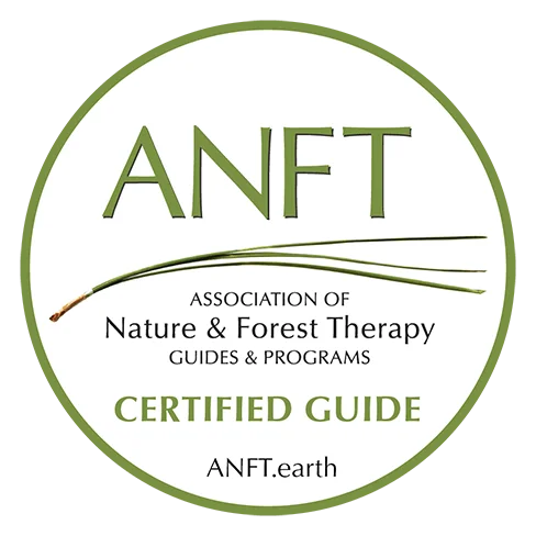 ANFT Certificate logo