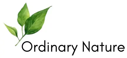 Ordinary Nature