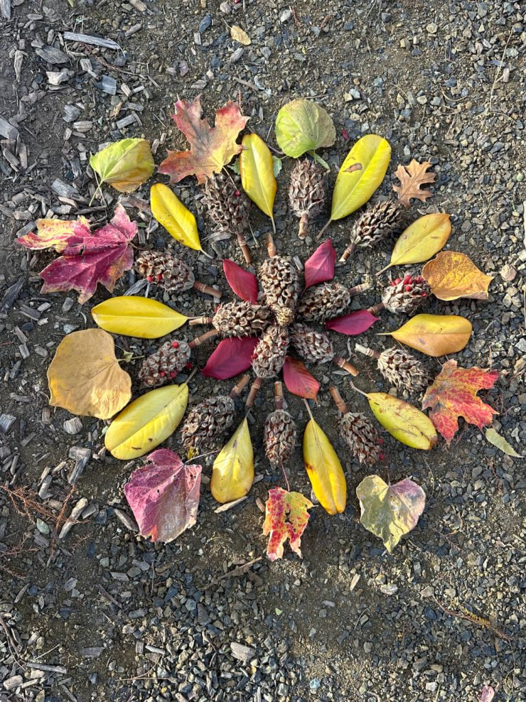 Colorful mandala made of autumn leaves and seed pods on rough gravel. Vibrant reds, yellows, and browns create a harmonious, natural pattern.