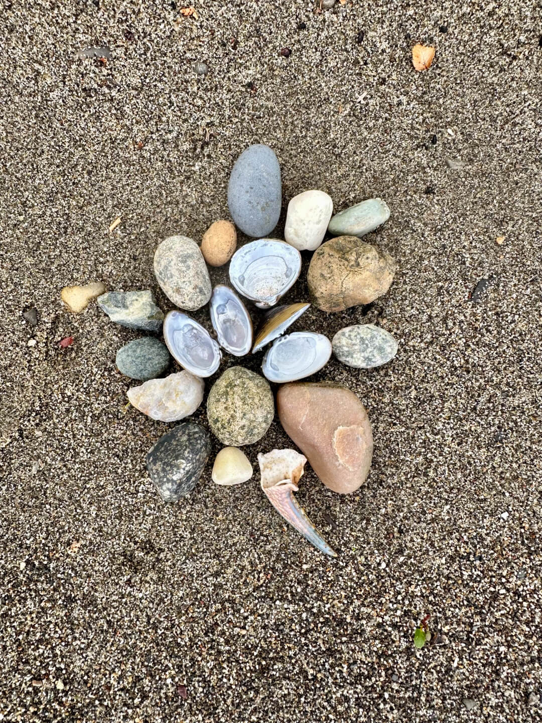 A collection of variously shaped stones, pebbles, and open shells arranged on coarse sand. The arrangement creates a natural and peaceful beach scene.